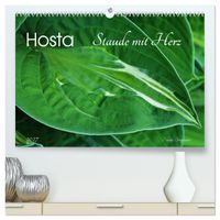 Buch Cover Hosta Staude mit Herz (hochwertiger Premium Wandkalender 2027 DIN A2 quer), Kunstdruck in Hochglanz