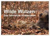 Buch Cover Wilde Wutzen. Das heimische Wildschwein (Wandkalender 2027 DIN A2 quer), CALVENDO Monatskalender