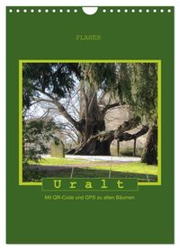 Buch Cover Uralt - Mit QR-Code und GPS zu alten Bäumen (Wandkalender 2027 DIN A4 hoch), CALVENDO Monatskalender
