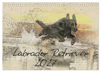 Buch Cover Labrador Retriever 2027 (Tischkalender 2027 DIN A5 quer), CALVENDO Monatskalender