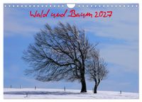Buch Cover Wald und Baum 2027 (Wandkalender 2027 DIN A4 quer), CALVENDO Monatskalender