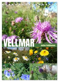 Buch Cover Vellmar meine Feldblumen (Tischkalender 2027 DIN A5 hoch), CALVENDO Monatskalender