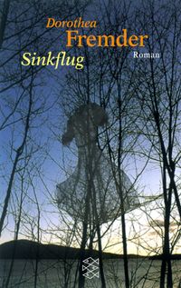 Buch Cover Sinkflug