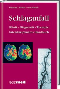 Buch Cover Schlaganfall