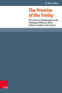 Buch Cover The Promise of the Trinity