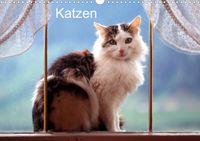 Buch Cover Katzen (Posterbuch DIN A4 quer)