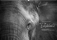 Buch Cover Emotional Moments: Elephants UK Version (Poster Book DIN A3 Landscape)
