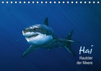 Buch Cover Hai – Raubtier der Meere (Tischkalender 2014 DIN A5 quer)