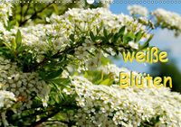 Buch Cover weiße Blüten (Wandkalender 2014 DIN A3 quer)