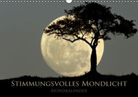 Buch Cover Stimmungsvolles Mondlicht – Mondkalender (Wandkalender 2014 DIN A3 quer)