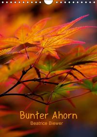 Buch Cover Bunter Ahorn (Wandkalender 2015 DIN A4 hoch)