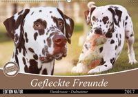 Buch Cover Gefleckte Freunde - Hunderasse Dalmatiner (Wandkalender 2017 DIN A2 quer)