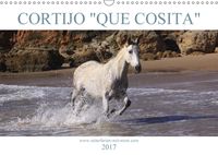 Buch Cover CORTIJO "QUE COSITA" - Reiterferien in Andalusien (Wandkalender 2017 DIN A3 quer)