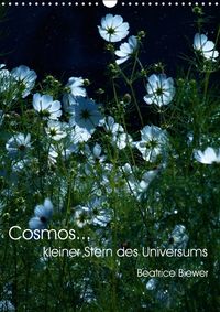Buch Cover Cosmos... kleiner Stern des Universums (Wandkalender 2017 DIN A3 hoch)