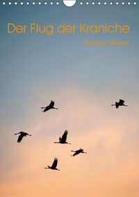 Buch Cover Der Flug der Kraniche (Wandkalender 2019 DIN A4 hoch)