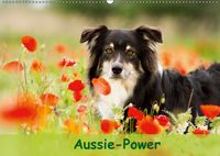 Buch Cover Aussie-Power (Wandkalender 2019 DIN A2 quer)