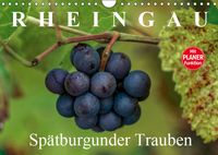 Buch Cover Rheingau - Spätburgunder Trauben (Wandkalender 2019 DIN A4 quer)