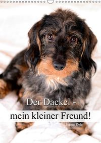 Buch Cover Der Dackel - mein kleiner Freund (Wandkalender 2019 DIN A3 hoch)