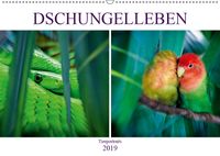 Buch Cover Dschungelleben - Tierportraits (Wandkalender 2019 DIN A2 quer)