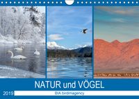 Buch Cover Landschaften und Vögel (Wandkalender 2019 DIN A4 quer)