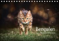 Buch Cover Bengalen Outdoor und Action (Tischkalender 2019 DIN A5 quer)