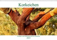 Buch Cover Korkeichen (Wandkalender 2019 DIN A3 quer)