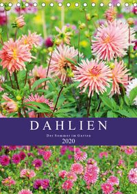 Buch Cover Dahlien - Der Sommer im Garten (Tischkalender 2020 DIN A5 hoch)