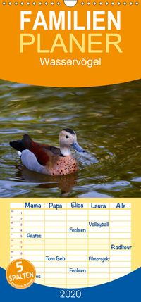 Buch Cover Wasservögel - Familienplaner hoch (Wandkalender 2020 , 21 cm x 45 cm, hoch)