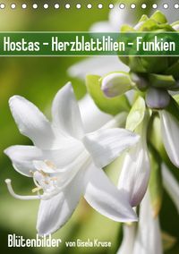 Buch Cover Hostas Herzblattlilien Funkien (Tischkalender 2020 DIN A5 hoch)