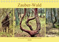 Buch Cover Zauber-Wald. Der tanzende Wald auf der Kurischen Nehrung (Tischkalender 2020 DIN A5 quer)