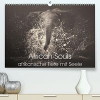 Buch Cover African Souls - afrikanische Tiere mit Seele (Premium, hochwertiger DIN A2 Wandkalender 2020, Kunstdruck in Hochglanz)
