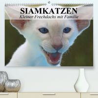 Buch Cover Siamkatzen - Kleiner Frechdachs mit Familie (Premium, hochwertiger DIN A2 Wandkalender 2020, Kunstdruck in Hochglanz)