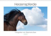 Buch Cover Herzenspferde 2020 (Wandkalender 2020 DIN A3 quer)