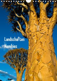 Buch Cover Landschaften Namibias (Wandkalender 2021 DIN A4 hoch)