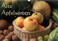 Buch Cover Alte Apfelsorten (Wandkalender 2021 DIN A3 quer)