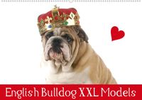 Buch Cover English Bulldog XXL Models (Wandkalender 2021 DIN A2 quer)