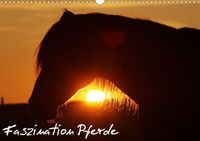 Buch Cover Faszination Pferde (Wandkalender 2021 DIN A3 quer)