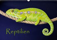 Buch Cover Reptilien (Wandkalender 2021 DIN A3 quer)