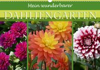 Buch Cover Mein wunderbarer Dahliengarten (Wandkalender 2021 DIN A3 quer)