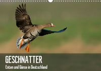 Buch Cover Geschnatter - Enten und Gänse in Deutschland (Wandkalender 2021 DIN A3 quer)