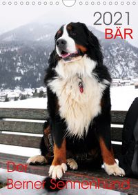 Buch Cover BÄR - Der Berner Sennenhund (Wandkalender 2021 DIN A4 hoch)