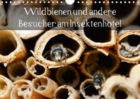 Buch Cover Wildbienen und andere Besucher am Insektenhotel (Wandkalender 2021 DIN A4 quer)