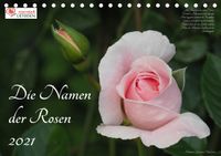 Buch Cover Die Namen der Rosen (Tischkalender 2021 DIN A5 quer)