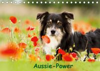 Buch Cover Aussie-Power (Tischkalender 2021 DIN A5 quer)