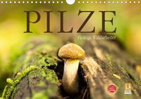 Buch Cover Pilze - fleißige Waldarbeiter (Wandkalender 2021 DIN A4 quer)