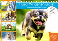 Buch Cover Hurra! Wir gehen Gassi! Abenteuer mit dem Hund! (Tischkalender 2021 DIN A5 quer)