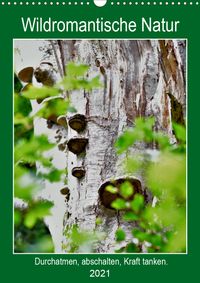 Buch Cover Wildromantische Natur (Wandkalender 2021 DIN A3 hoch)