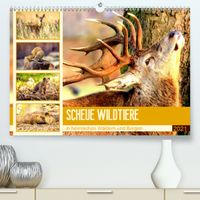 Buch Cover Scheue Wildtiere in heimischen Wäldern und Bergen (Premium, hochwertiger DIN A2 Wandkalender 2021, Kunstdruck in Hochglanz)