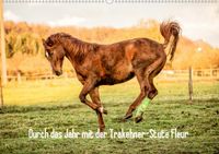 Buch Cover Durch das Jahr mit der Trakehner-Stute Fleur (Wandkalender 2021 DIN A2 quer)