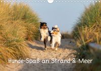 Buch Cover Hunde-Spaß an Strand & Meer (Wandkalender 2021 DIN A4 quer)